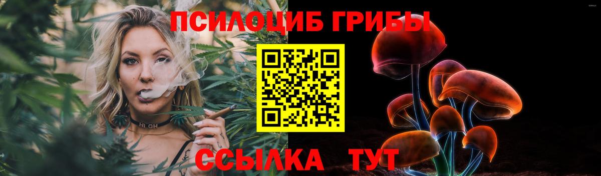 Галлюциногенные грибы прущие грибы  Вход с VPN  Псилоцибиновые грибы Magic Shrooms  Кинель 